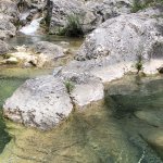 Rio Carne - Foto Ugo Roffi